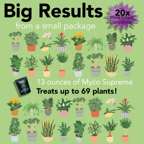 Miniatura 3 de Trifecta Myco Supreme Hongos micorrízicos para suelo, estimulador de raíces de plantas, micorrizas ultra concentradas para raíces fuertes y suelo