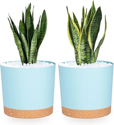 Miniatura 32 de QCQHDU Maceta de 8 pulgadas, paquete de 2 macetas para plantas de interior con agujeros de drenaje y platillo, macetas para exteriores, decoración