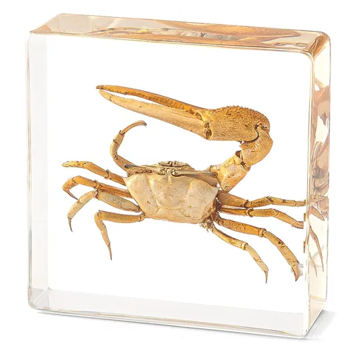 Miniatura 9 de Murciélago de taxidermia real en resina, animales de taxidermia para exhibición gótica en el hogar, rarezas y curiosidades, regalos