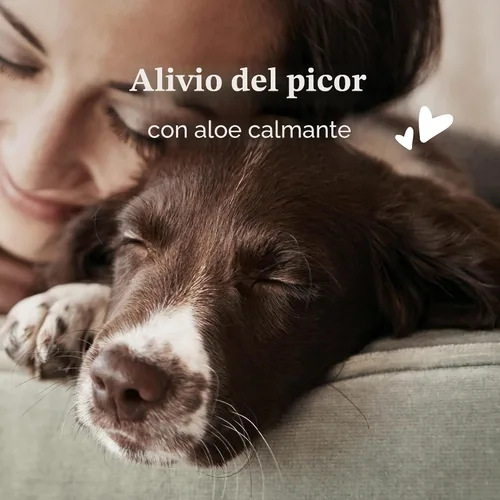 Miniatura 3 de PetArmor Tratamiento de ácaros del oído para perros, el medicamento para los ácaros del oído mata las garrapatas y los ácaros del oído para aliviar