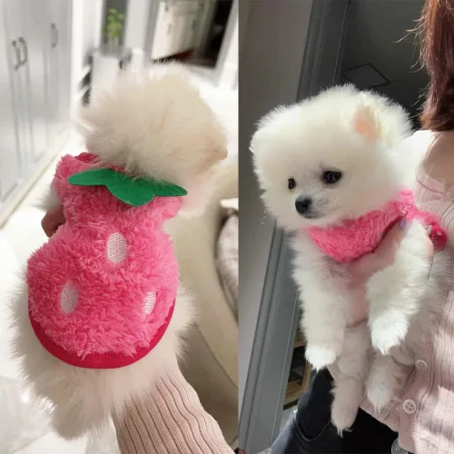 Miniatura 3 de ANIAC Ropa de conejo para conejos, chaleco cálido de gatito, camisa de forro polar XXXS para perro, camiseta acogedora para conejillo de indias