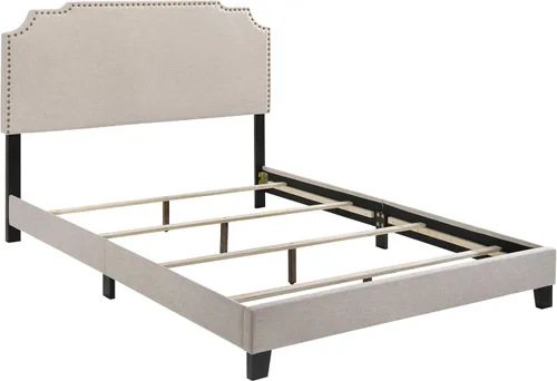 Coaster Home Furnishings - Tamarac - Cama de paneles tapizada con cabecera alta, detalle de arco y ribete de cabeza de clavos de latón antiguo,