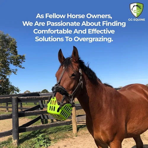 Miniatura 4 de GG Equine GreenGuard - Bozal de pastoreo para caballo, accesorios para caballos más ligeros y duraderos, cómodo bozal para caballos con flujo