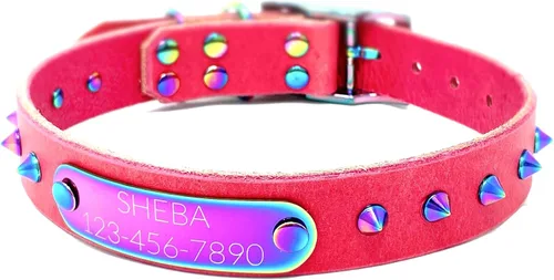 Miniatura 14 de Collar de perro de cuero con brida hecha a mano, grabado arco iris de acero inoxidable (negro)