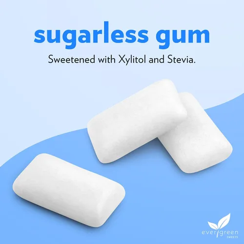 Miniatura 3 de Evergreen Sweets Chicle de 100 unidades en tarro – Goma de mascar de menta natural hecha con xilitol y stevia – sin azúcar, sin aspartamo y vegano
