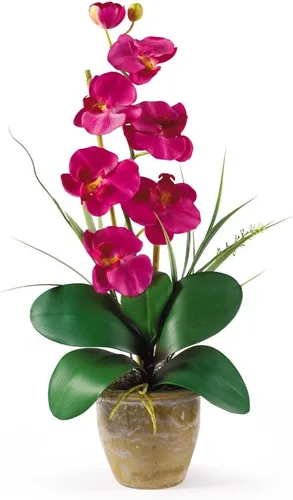 Miniatura 4 de Nearly Natural 1016-GY Phalaenopsis - Arreglo floral de orquídea de seda, amarillo, 9x6x21