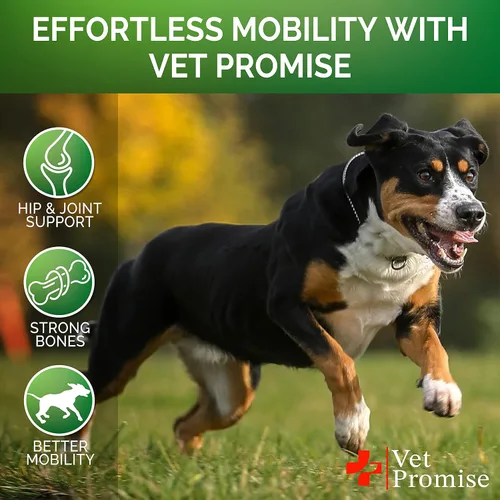 Miniatura 4 de Vet Promise Glucosamina para perros - Suplemento de cadera y articulaciones para perros - Glucosamina condroitina - Píldoras para aliviar el dolor