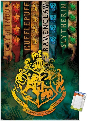 Miniatura 10 de Trends International The Wizarding World: Harry Potter - Póster de pared con crestas de la casa, 14.725 x 22.375 pulgadas, versión enmarcada