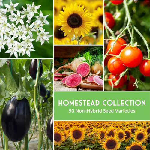 Miniatura 3 de Bóveda de semillas Homesteader - 50 paquetes de semillas autóctonas, frutas y hierbas sin OMG para plantar un jardín de la victoria - Cultive