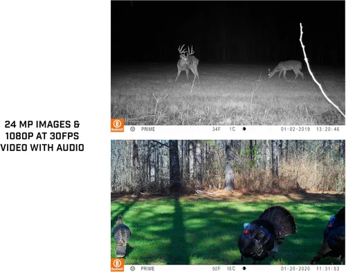 Miniatura 5 de Bushnell Cámara Prime Low Glow Trail - Calidad de imagen de 24 MP, video HD de 1080p, tecnología de sensor avanzada para capturas nocturnas claras