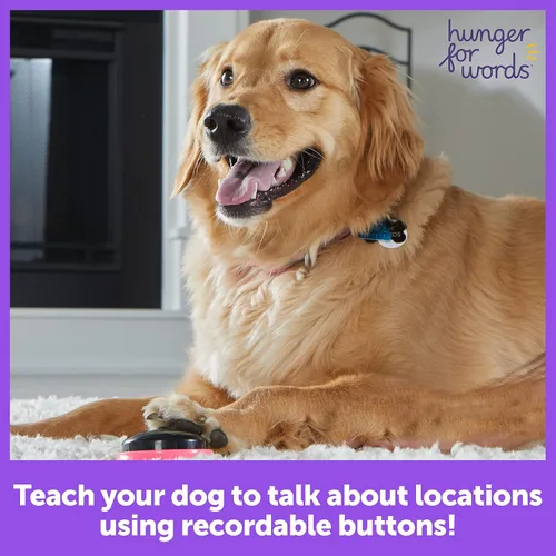 Miniatura 2 de Hunger For Words Talking Pet Next Words Locations - Juego de 3 botones de voz grabables para perros, botones de comunicación para perros
