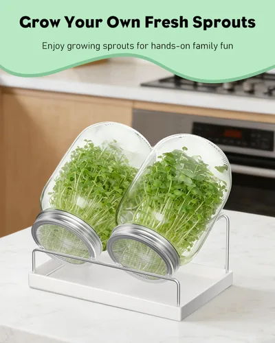 Miniatura 7 de Kit de germinación Pawfly, tarros de boca ancha de 1 cuarto de galón (1000 mL) de albañil, kit de tarros de germinación con tapas de malla de acero