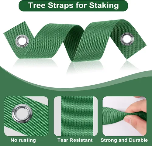 Miniatura 4 de Jevrench 12 PCS Correas para Árboles para Estacado, Correas de Soporte para Árboles para Atirantar Plantones Recién Plantados y Mantenerlos Rectos