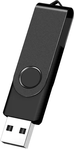 Miniatura 17 de AreTop AreTop - Paquete de 100 unidades flash USB de 2 GB, unidades de pulgar USB 2.0 premium a granel USB Pendrive Memory Stick Jump Drive 100