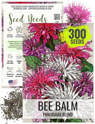 Miniatura 9 de Seed Needs Semillas de bálsamo de abeja para plantar bergamota silvestre, reliquia y flores perennes de polinización abierta para cultivar un jardín