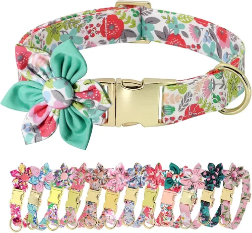 Miniatura 9 de Collares de perro femeninos Beirui con patrones florales vibrantes, collar de perro hembra con flor para caminar, collar ajustable duradero