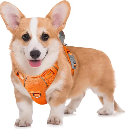 Miniatura 48 de BARKBAY Arnés para Perro Sin Tirones Talla Grande Arnés Reflectante para Perro con Clip Frontal y Asa de Control Fácil para Caminar Entrenar Correr