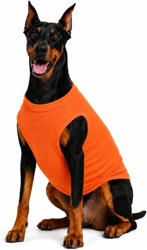 Miniatura 36 de Lovelonglong Ropa para mascotas de verano 2019, ropa para perro, camisetas en blanco, camisetas acanaladas, chalecos de hilo superior para perros