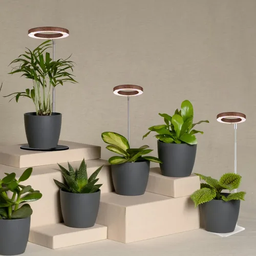 Miniatura 5 de yadoker Luz de cultivo de plantas, luz LED de espectro completo para plantas de interior, altura ajustable, temporizador automático, bajo voltaje