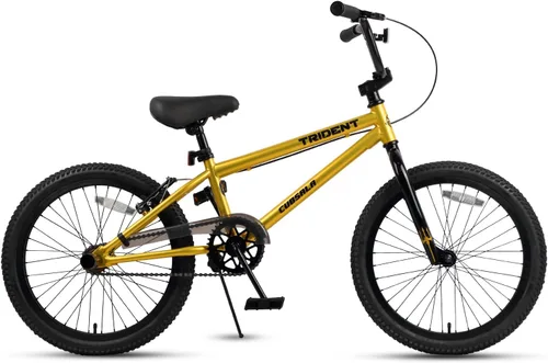 Miniatura 2 de cubsala 20 24 26 Inch BMX Race Bike Trident Bicycles Beginner-Level to Advanced Riders with 2 Pegs, Multiple Colors Dorado