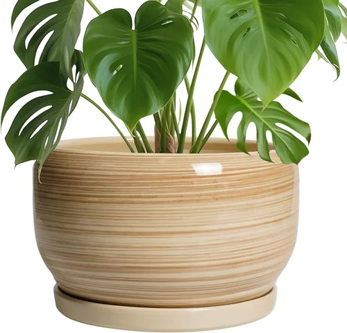 Miniatura 31 de SQOWL Macetas de cerámica – Maceta de 6 pulgadas con orificio de drenaje y bandeja, maceta redonda para plantas de interior, maceta decorativa