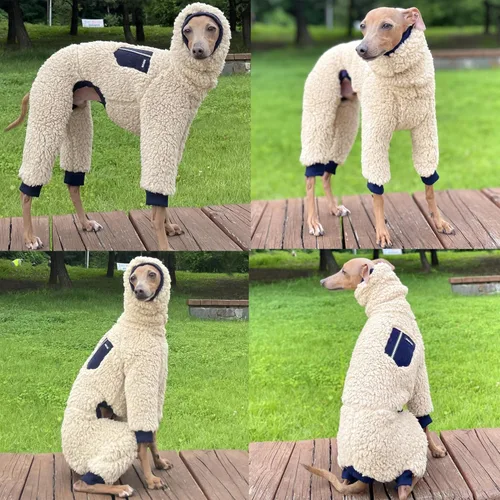 Miniatura 4 de D Doggy Star - Suéter de galgo italiano de cuello de tortuga, conjunto de mono de vellón cálido, ropa de Whippet para perro (XL, azul marino Pkt)
