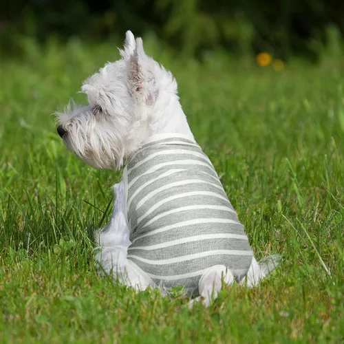 Miniatura 5 de 3 piezas de pañales reutilizables para perras con tirante ajustable, lavables, bragas sanitarias para perritos, pañales para cachorros, ropa