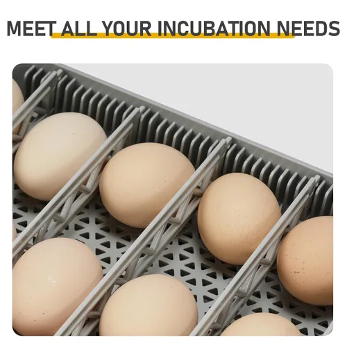 Miniatura 5 de 48 incubadoras de huevos para incubar huevos, incubadora de huevos de gallina con vela de huevos, giro automático de huevos y temperatura, control