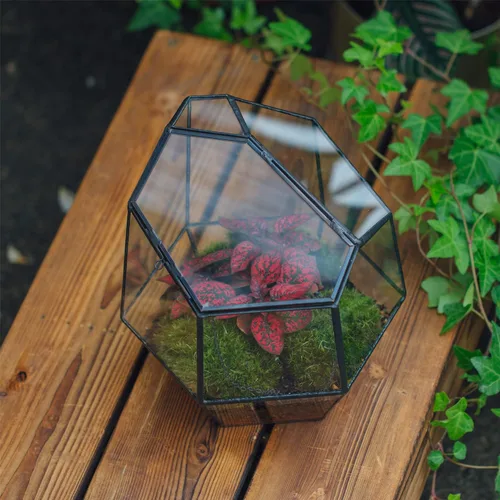 Miniatura 4 de NCYP Terrario geométrico cerrado pequeño hecho a mano de 7.5 pulgadas con puerta, maceta de vidrio irregular negro, maceta moderna para flores