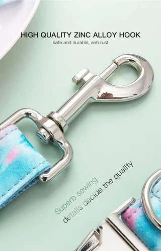 Miniatura 3 de Collar de perro personalizado, grabado personalizado con nombre de mascota, número de teléfono, etiqueta de identificación para razas pequeñas
