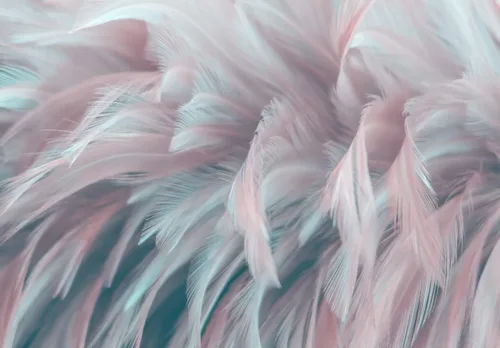 Bormia - Papel tapiz colorido de plumas 3D para sala de estar, papel tapiz de sala de estar, papel tapiz de arte para el hogar, calcomanías de pared