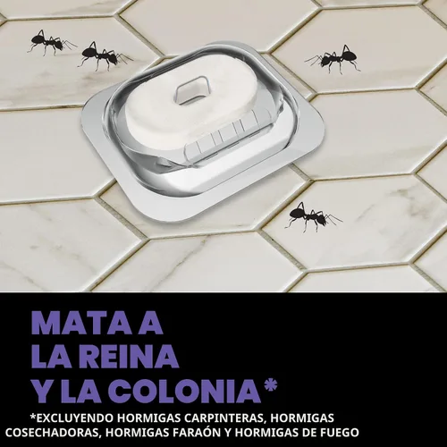 Miniatura 2 de STEM - Cebos líquidos para hormigas, mata a la reina y la colonia, para uso en interiores, 4 estaciones de cebo a prueba de derrames