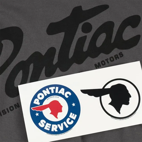 Miniatura 6 de Chief Pontiac General Motors Logo T Shirt Stickers