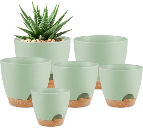 QRRICA Macetas para Plantas de 8/7/6.5/6/5.5/5 Pulgadas con Autoriego, Juego de 6 Macetas de Plástico con Agujeros de Drenaje y Platillos, Macetas