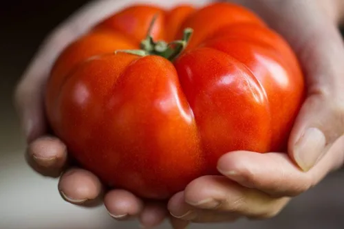 Miniatura 5 de Semillas Red Giant Beefsteak Tomate Indeterminado No GMO Heirloom