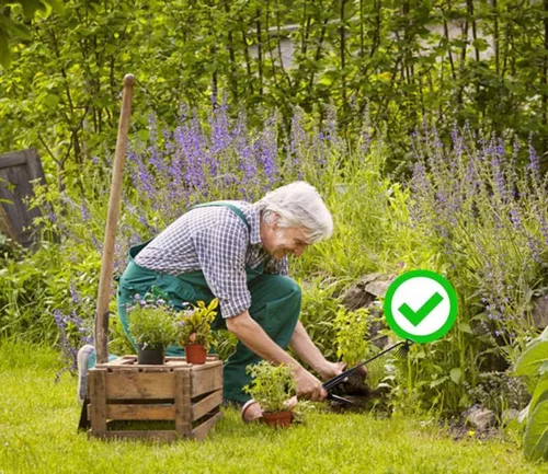 Miniatura 3 de Herramienta de eliminación de malezas, nuevas herramientas de deshierbe de jardín, herramienta de desmalezadora manual de acero al manganeso
