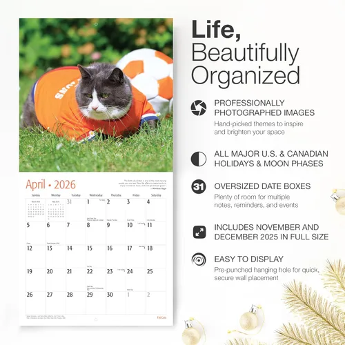 Miniatura 2 de RED EMBER Fat Cats - Calendario de pared 2026 de 12 meses, abierto de 12 x 24 pulgadas, papel grueso y resistente, regalo de vacaciones, calendario