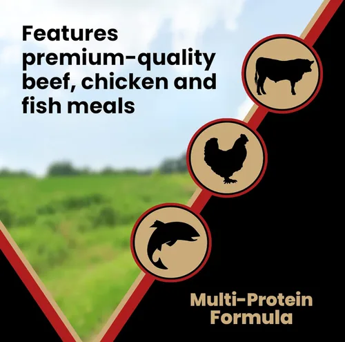 Miniatura 5 de VICTOR Alimento súper premium para perros – Purpose Nutra Pro – Sin gluten, croquetas secas altas en proteínas y bajas en carbohidratos para perros