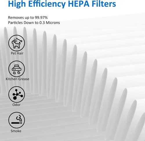 Miniatura 6 de Paquete de 2 filtros de repuesto MK01 MK06 True HEPA compatibles con AROEVE MK01 MK06 y Kloudi DH-JH01 purificador de aire, versión de caspa