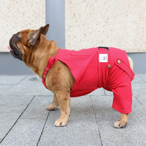 Miniatura 2 de iChoue Lindos pañales para perro, tirantes para bulldog francés, pug francés, bulldog inglés, hembra, en ciclo de calor, rojo, pequeño con 1 pañal