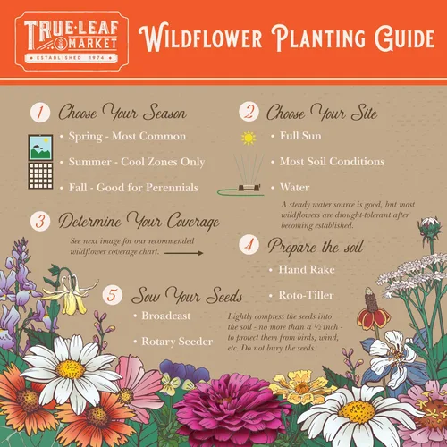 Miniatura 6 de Colección Wildflower Seeds - Más de 500,000 semillas a granel - 6 mezclas diferentes incluyendo colibrí y mariposa, Save The Monarchs, Save The