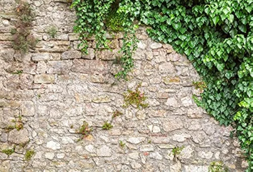 Miniatura 9 de Telón de fondo natural de primavera de 5 x 3 pies, montañas, árboles, hierba verde, selva, fotografía, telón de fondo de fotografía de sol, pino