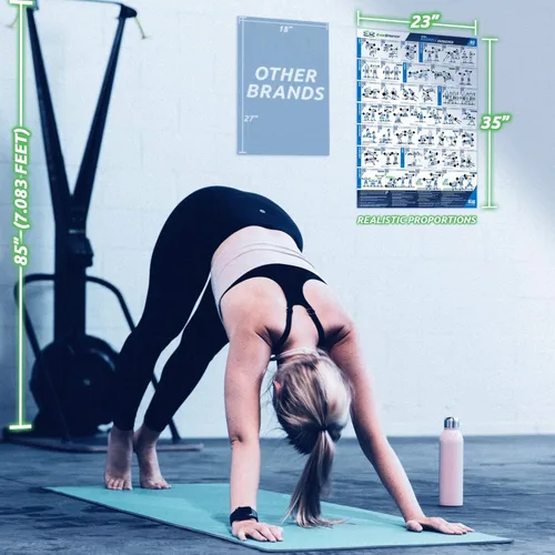Miniatura 5 de EverStretch Póster de entrenamiento con barra para gimnasio en casa, con instrucciones en video (idioma español no garantizado), grande de 23 x 35