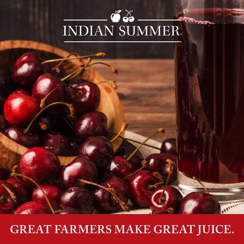 Miniatura 5 de Indian Summer Puré de manzana en trozos premium hecho con manzanas estadounidenses por cultivadores estadounidenses
