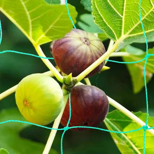 Miniatura 3 de Paquete de 2 redes de enrejado de pepino y tomate, red de jardín resistente para soporte de plantas trepadoras, guisantes, uvas, frijoles, frutas