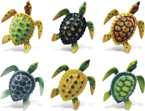 COTA Global - Juego de 6 imanes de tortuga marina de arrecife para refrigerador, varios colores, divertidos y lindos imanes de cabeza para cocina,