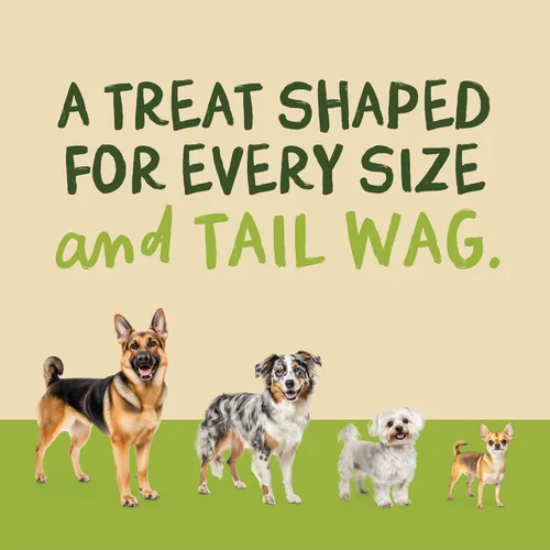Miniatura 6 de Pet 'n Shape Chik 'n Wrapped Biscuits – Golosinas naturales envueltas en pollo para perros, 35 onzas