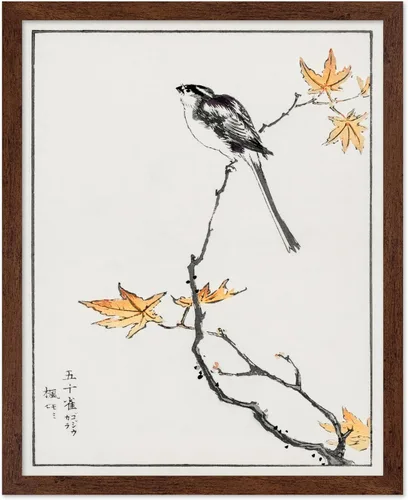 Miniatura 21 de Poster Master Vintage James Audubon Póster - Impresión Retro de Cuervo - Arte de Aves de América - Arte de Aves - Regalo para Hombres, Mujeres