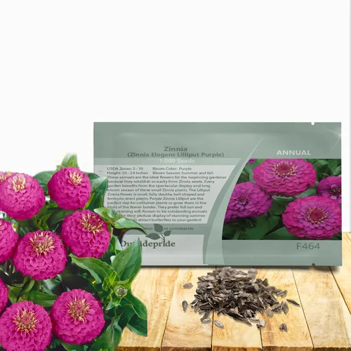 Outsidepride - Zinnia Elegans, 2000 semillas anuales, Lilliput Purple, flores para plantar, color morado