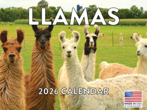 Miniatura 150 de Calendario alpaca 2026, calendario mensual de pared de 12 meses Hecho en Estados Unidos.